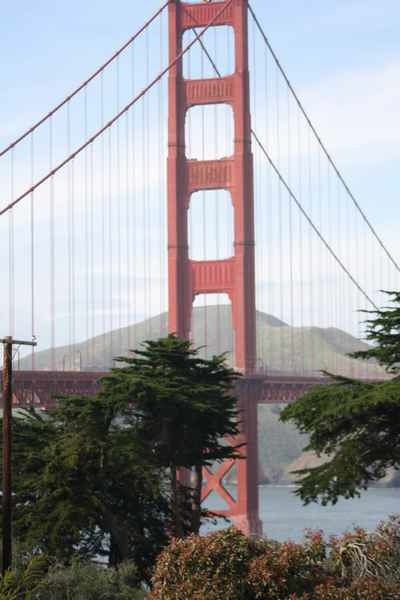 sanfranIMG_0781.jpg