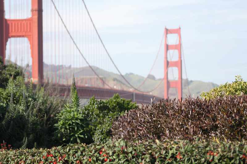 sanfranIMG_0793.jpg