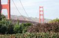 sanfranIMG_0793.jpg