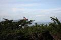 sanfranIMG_0820.jpg