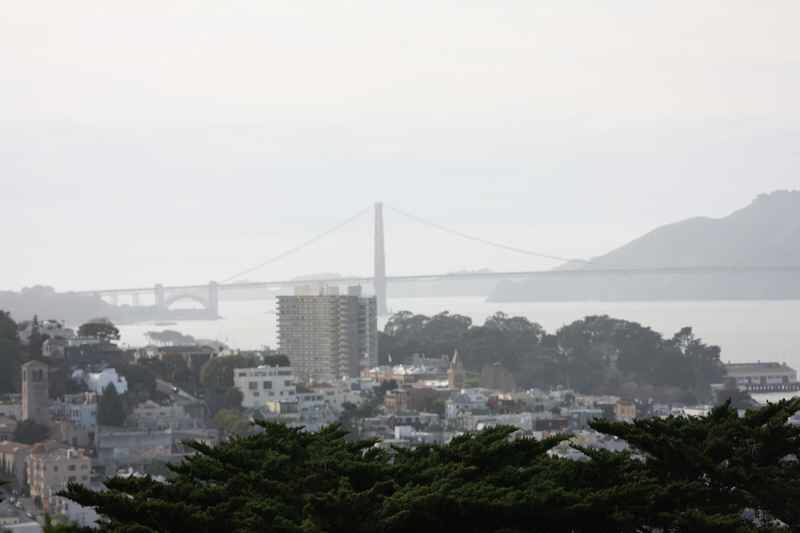 sanfranIMG_0827.jpg